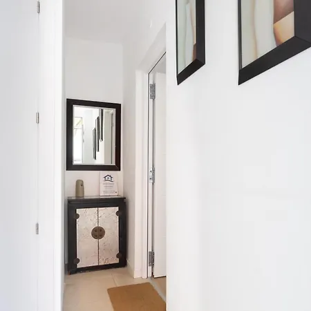 Retama Laguna Centro La Laguna (Tenerife)