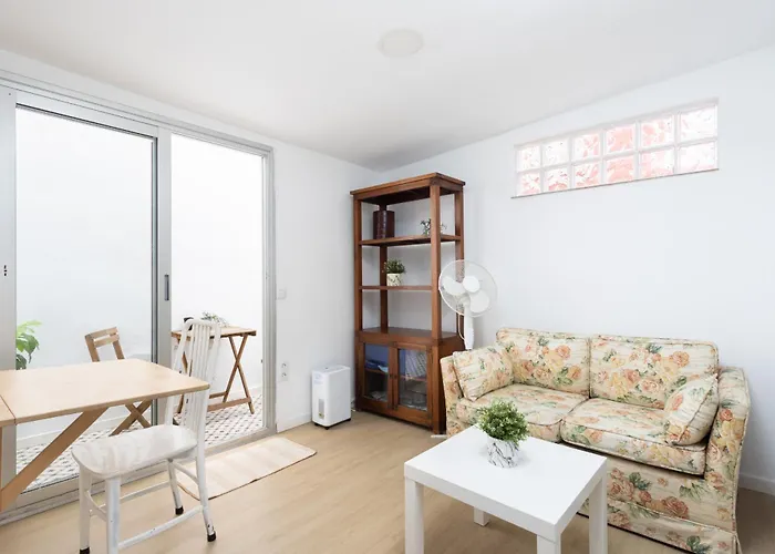 Retama Laguna Centro La Laguna