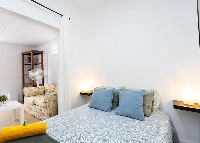 Retama Laguna Centro La Laguna